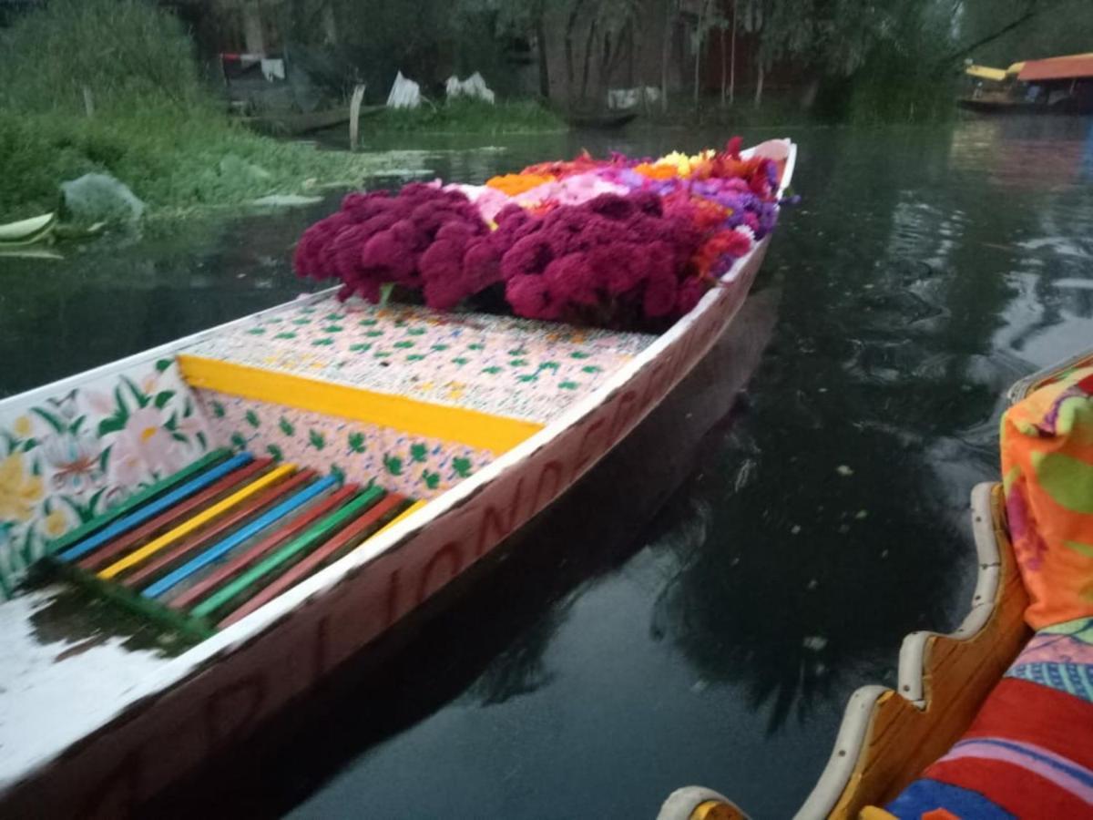 Umbrella Group Of House Boat Hotel Srīnagar Kültér fotó